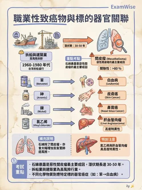 放射 - 惡性腫瘤 - AI 圖文解析預覽