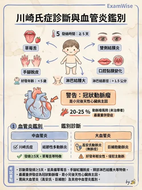 放射 - 心臟及血管疾病 - AI 圖文解析預覽
