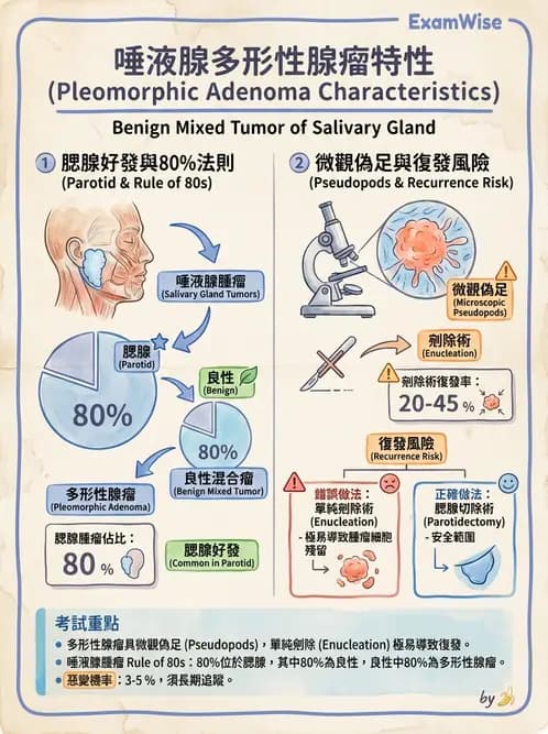 放射 - 口腔及腸胃道疾病 - AI 圖文解析預覽