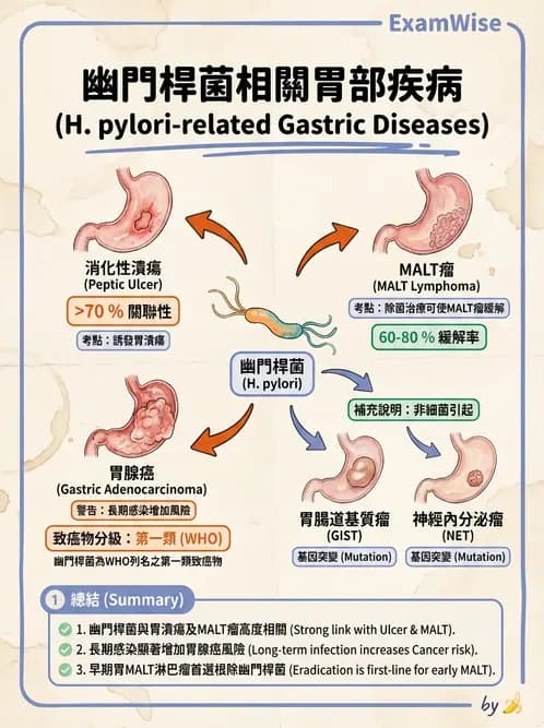 放射 - 口腔及腸胃道疾病 - AI 圖文解析預覽