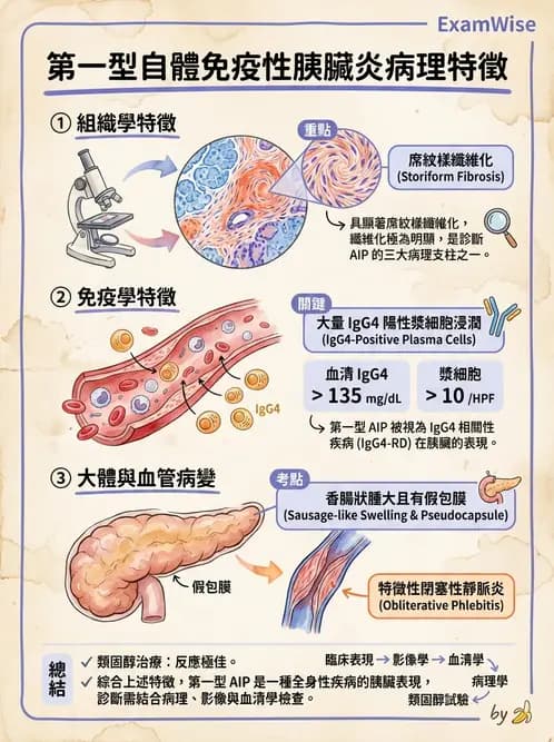 放射 - 肝臟、膽道及胰臟疾病 - AI 圖文解析預覽