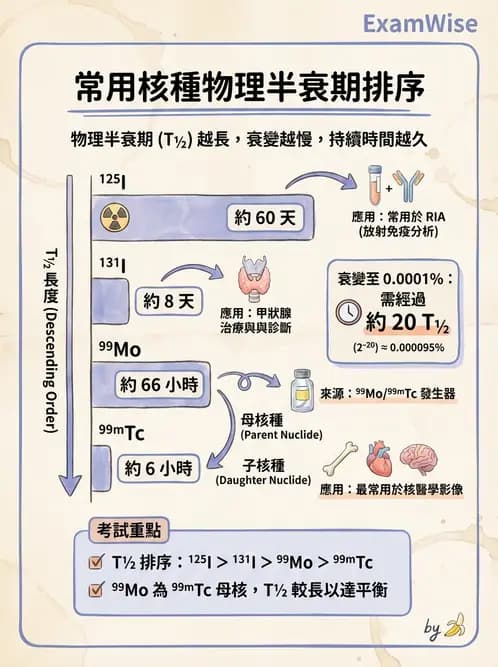 放射 - 放射性活度與衰變計算 - AI 圖文解析預覽