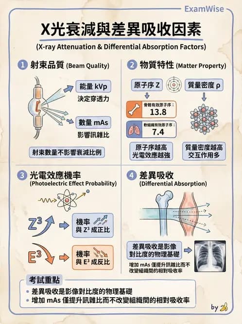 放射 - 光子衰減與係數計算 - AI 圖文解析預覽