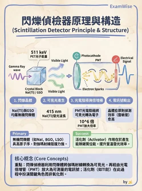 放射 - 固態與閃爍偵檢器 - AI 圖文解析預覽