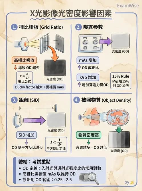 放射 - 影像接受器與乳房攝影 - AI 圖文解析預覽