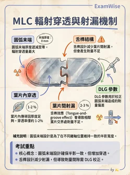 放射 - 特殊治療技術 - AI 圖文解析預覽
