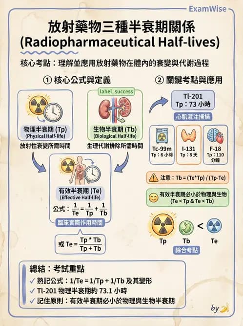 放射 - 體內劑量 - AI 圖文解析預覽