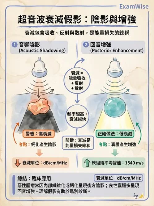 放射 - 超音波成像與都卜勒 - AI 圖文解析預覽