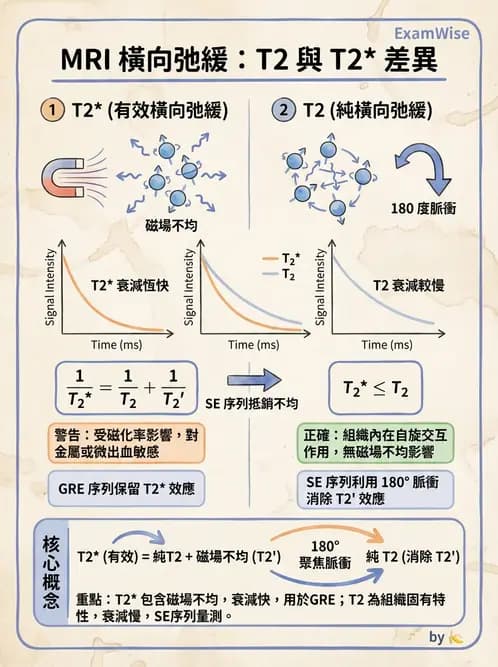 放射 - MRI基本物理與弛緩 - AI 圖文解析預覽
