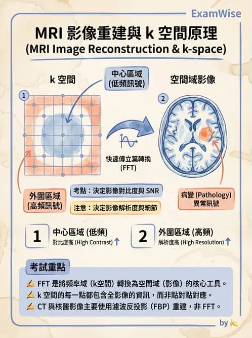 放射 - 空間編碼與影像品質 - AI 圖文解析預覽