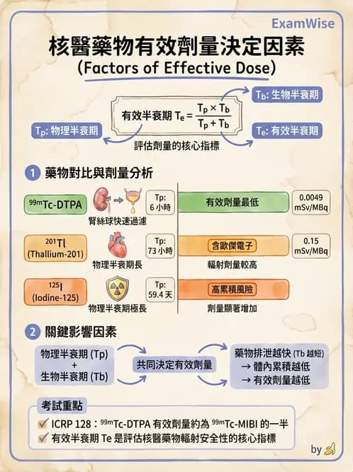放射 - 體內劑量 - AI 圖文解析預覽