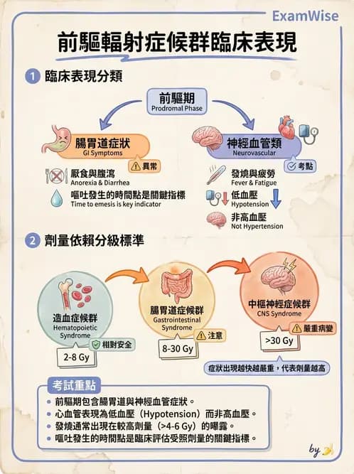 放射 - 全身性輻射效應 - AI 圖文解析預覽