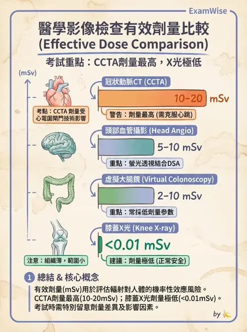 放射 - 醫療曝露品質保證 - AI 圖文解析預覽