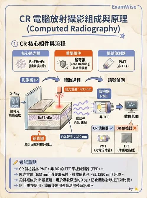 放射 - 電腦放射攝影(CR)原理與應用 - AI 圖文解析預覽