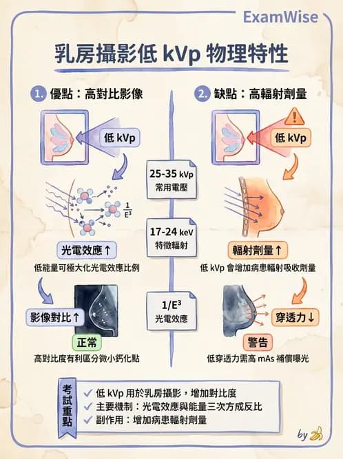 放射 - 乳房攝影裝置與影像品質 - AI 圖文解析預覽