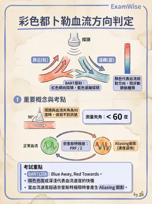 放射 - 都普勒超音波 - AI 圖文解析預覽