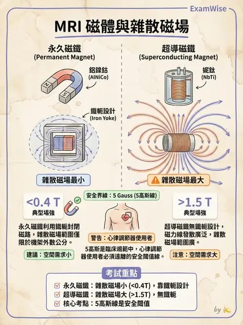 放射 - 主磁場、磁鐵類型與勻場 - AI 圖文解析預覽