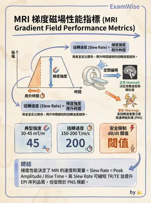 放射 - 梯度線圈與空間編碼 - AI 圖文解析預覽