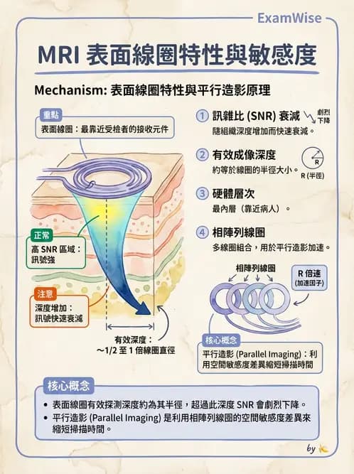 放射 - 射頻系統與線圈 - AI 圖文解析預覽