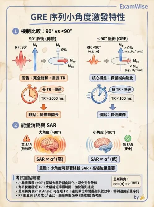 放射 - 射頻系統與線圈 - AI 圖文解析預覽