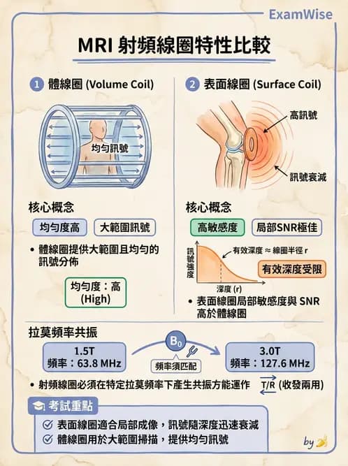放射 - 射頻系統與線圈 - AI 圖文解析預覽