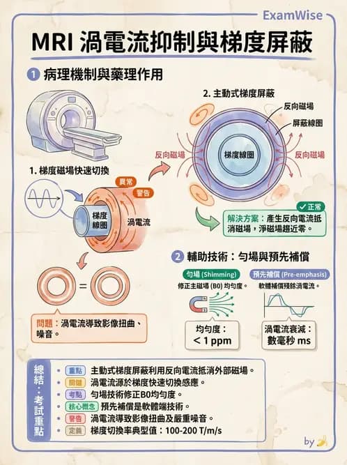 放射 - 梯度線圈與空間編碼 - AI 圖文解析預覽