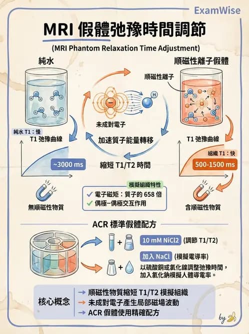 放射 - 品質管制與安全規範 - AI 圖文解析預覽