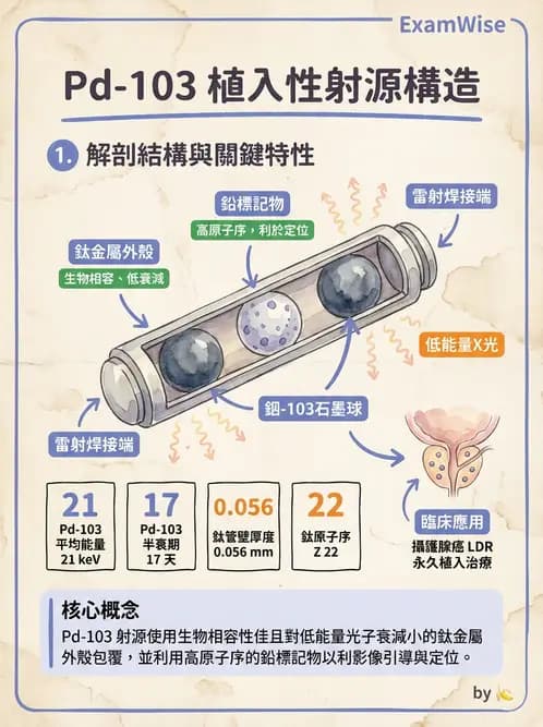 放射 - 近接治療機 - AI 圖文解析預覽