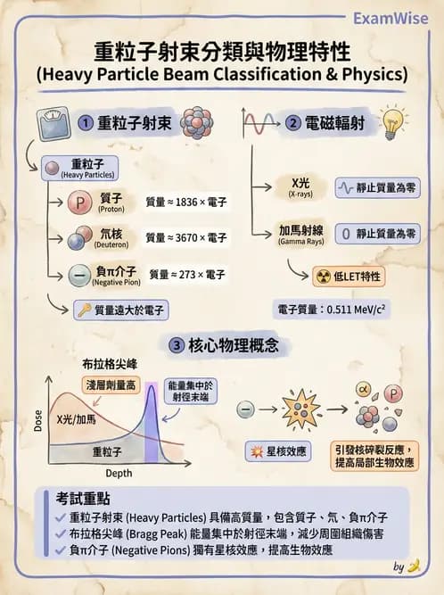 放射 - 質子及中子治療機 - AI 圖文解析預覽