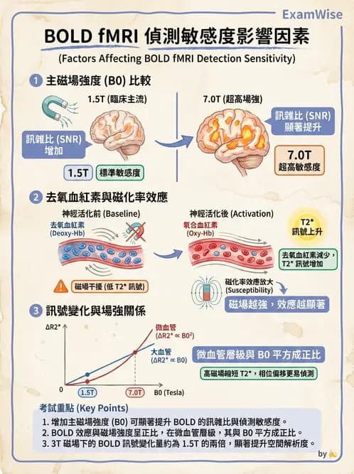 放射 - 主磁場、磁鐵類型與勻場 - AI 圖文解析預覽