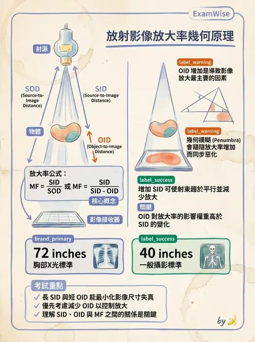 放射 - X光交互作用與影像品質 - AI 圖文解析預覽