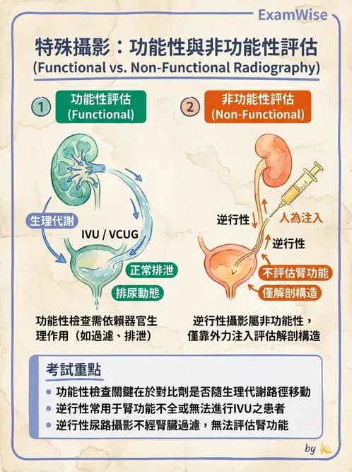 放射 - 泌尿生殖攝影 - AI 圖文解析預覽