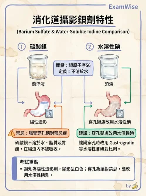 放射 - 消化道造影 - AI 圖文解析預覽
