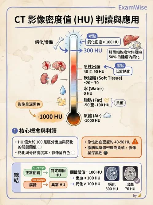放射 - 胸腹部CT診斷 - AI 圖文解析預覽