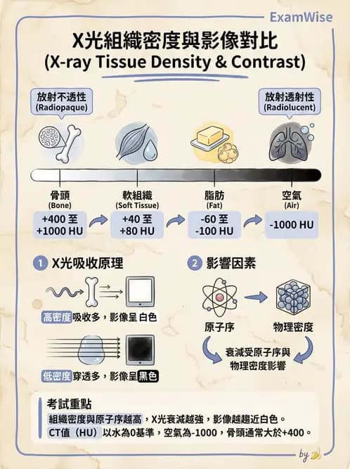 放射 - X光交互作用與影像品質 - AI 圖文解析預覽