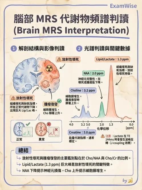 放射 - MR進階影像與臨床應用 - AI 圖文解析預覽