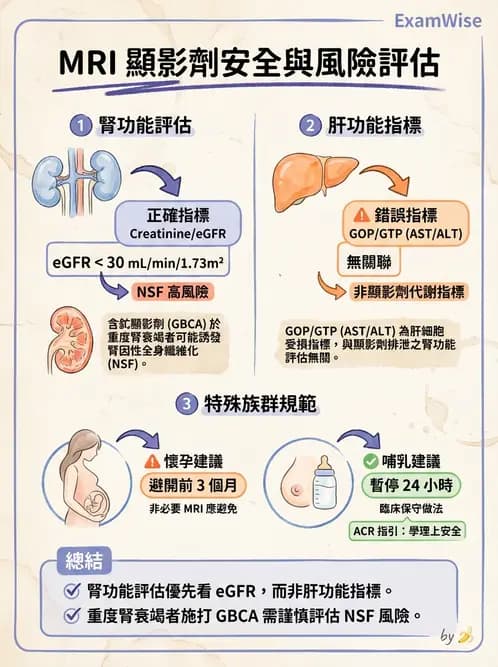 放射 - MRI安全與顯影劑 - AI 圖文解析預覽