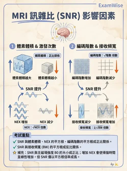 放射 - 磁振影像品質與參數 - AI 圖文解析預覽