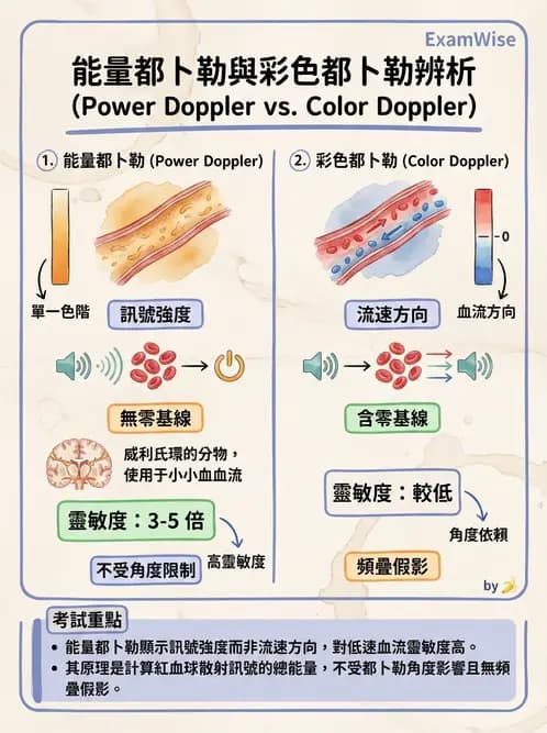 放射 - 超音波物理與技術 - AI 圖文解析預覽