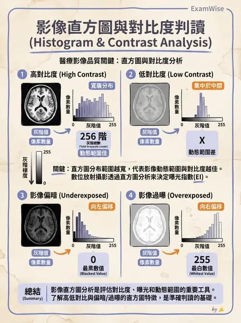 放射 - 數位影像原理與處理技術 - AI 圖文解析預覽