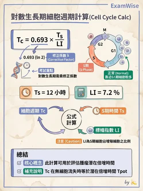 放射 - 細胞與腫瘤動力學 - AI 圖文解析預覽