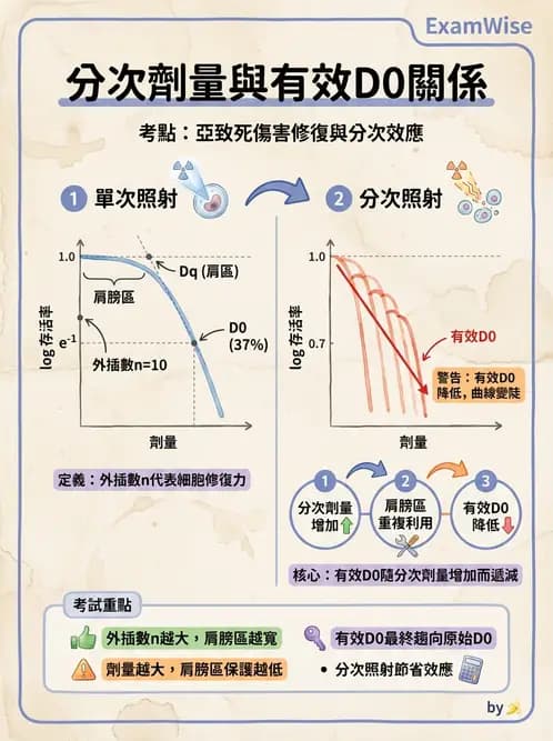 放射 - 細胞存活曲線與週期 - AI 圖文解析預覽