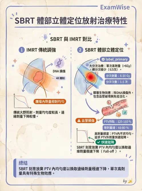 放射 - 立體定位軀體放射治療(SBRT) - AI 圖文解析預覽
