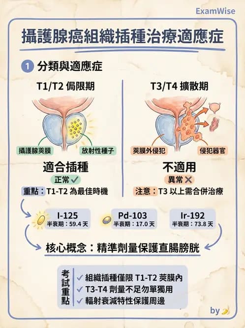 放射 - 插種近接治療 - AI 圖文解析預覽