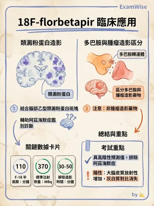 放射 - 腦神經PET藥物 - AI 圖文解析預覽