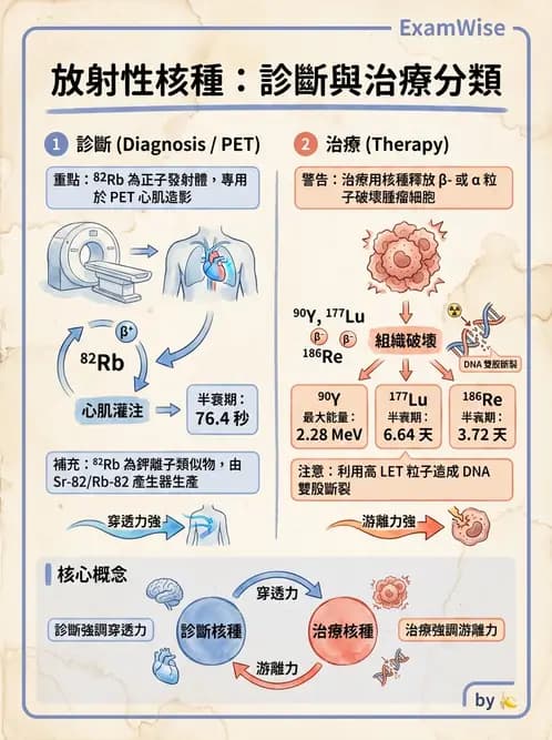 放射 - 治療用核醫藥物 - AI 圖文解析預覽