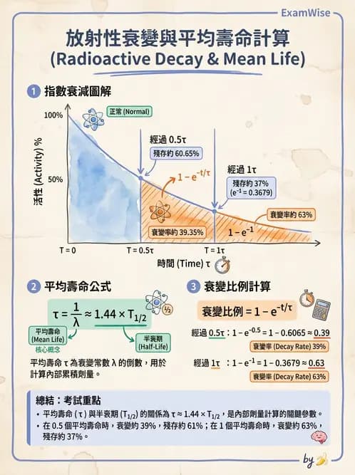 放射 - 蛻變類型與計算 - AI 圖文解析預覽