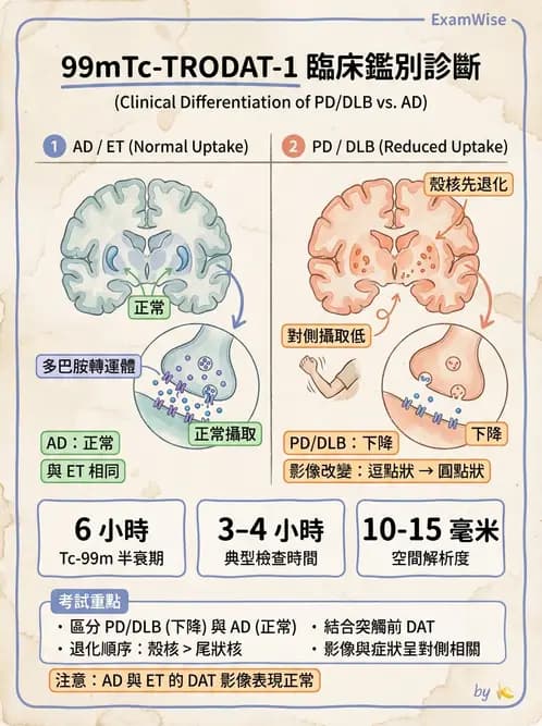 放射 - 腦部造影 - AI 圖文解析預覽