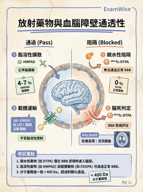 放射 - 腦部造影SPECT藥物 - AI 圖文解析預覽