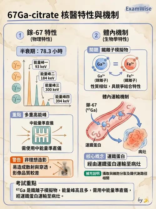 放射 - FDG PET造影 - AI 圖文解析預覽